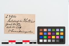 Etiketten zu Bernsteinperle (NHMW-PRAE-023914)
